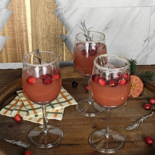 Cranberry Ginger Fizz Mocktail Kit